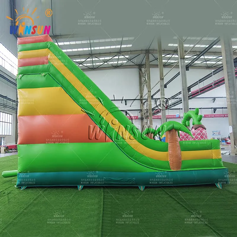 Custom Commercial Inflatable Dry Slide