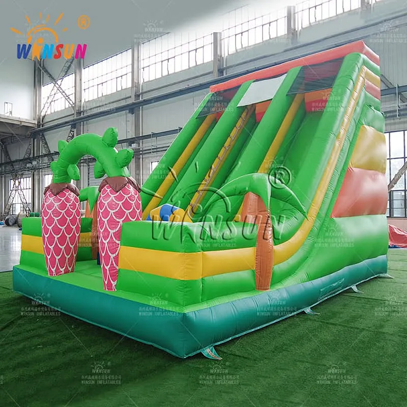 Custom Commercial Inflatable Dry Slide